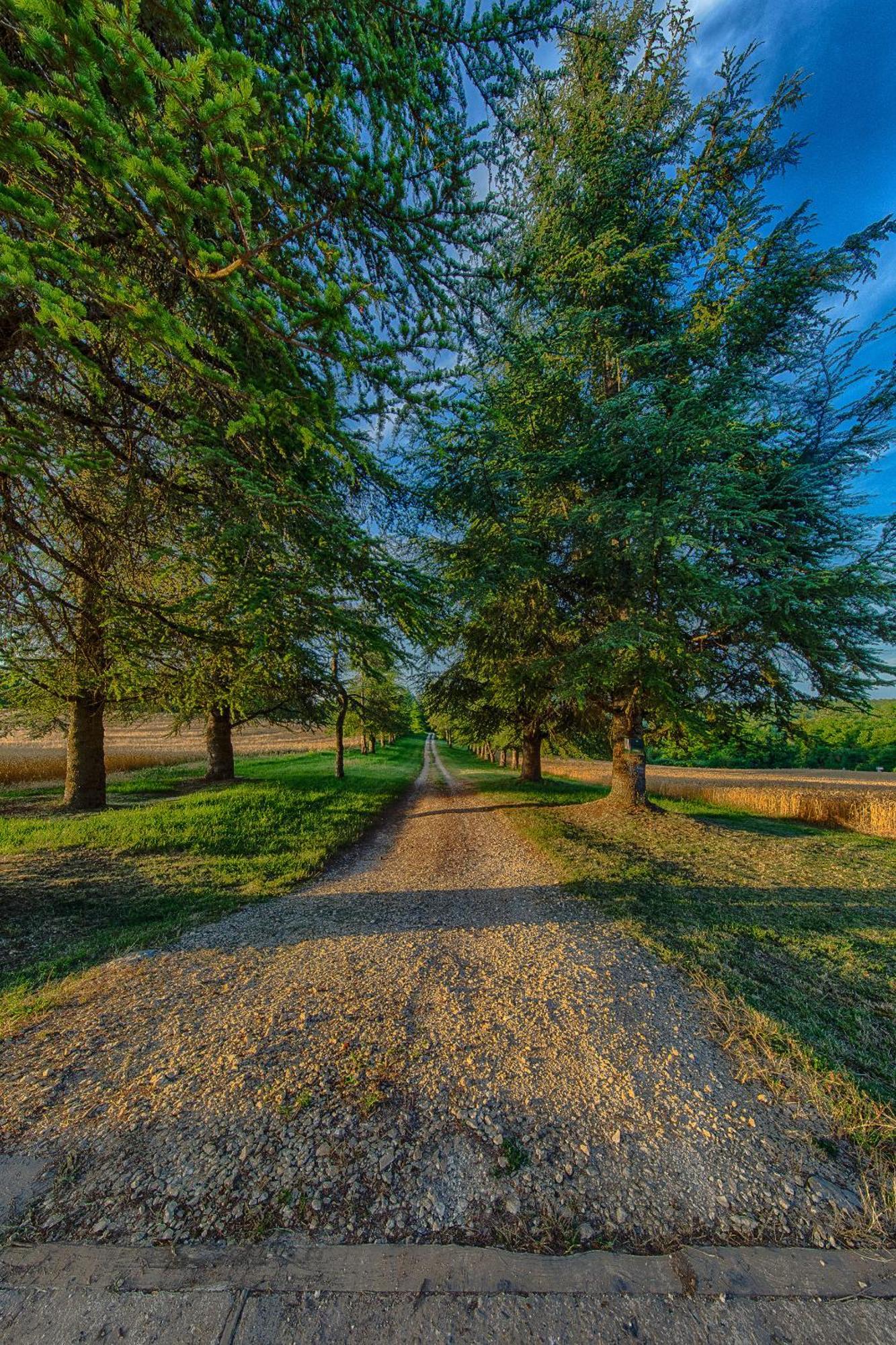 Вилла Le Manoir De St Marcel Saint-Marcel-du-Perigord Экстерьер фото