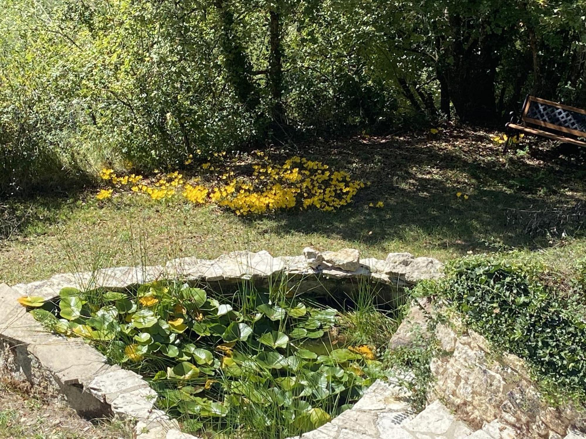 Вилла Le Manoir De St Marcel Saint-Marcel-du-Perigord Номер фото