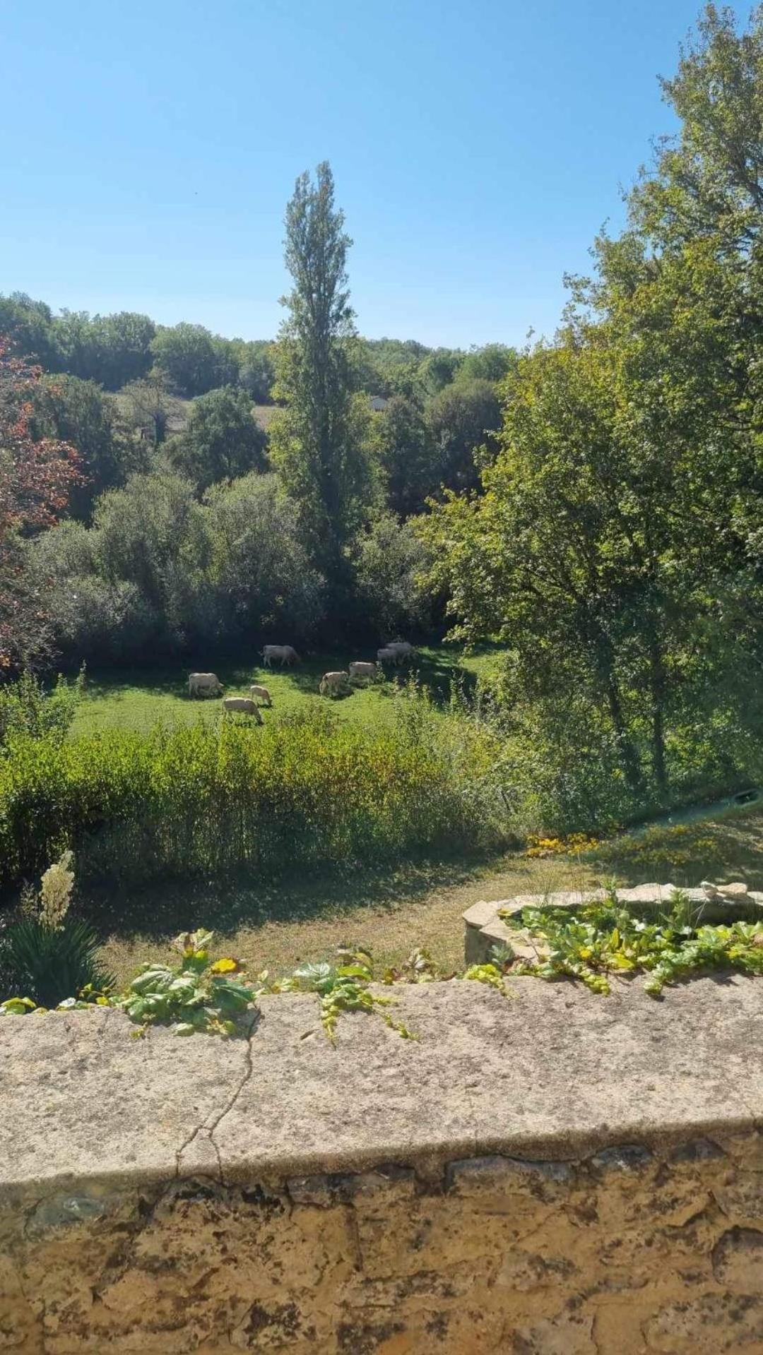 Вилла Le Manoir De St Marcel Saint-Marcel-du-Perigord Номер фото